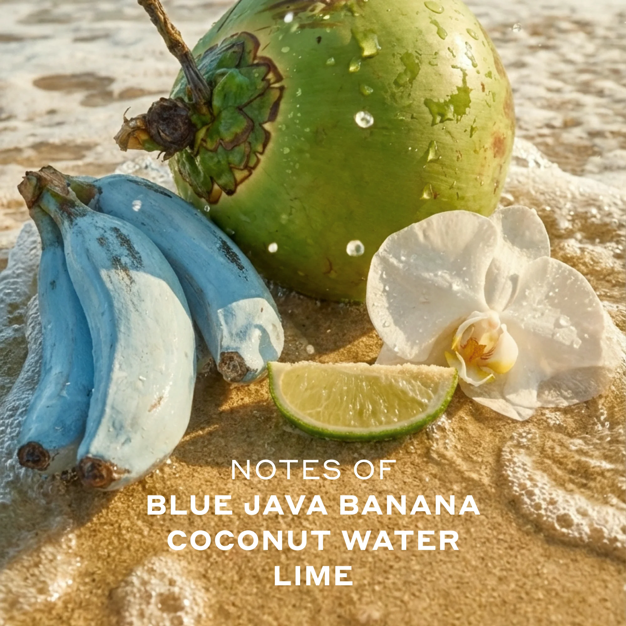 ISLA SIRENA Eau de Parfum - Image 3